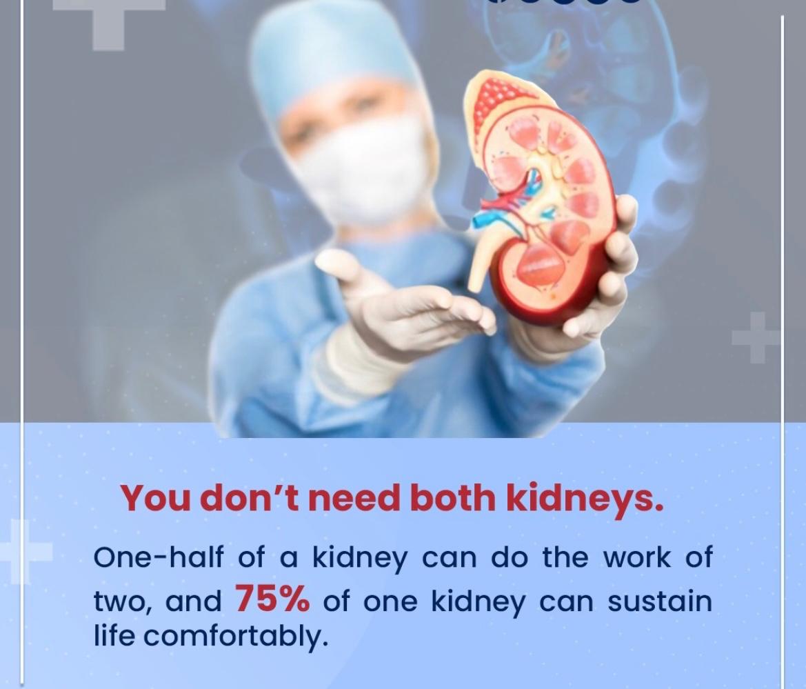 You don't need both kidneys fact graphic