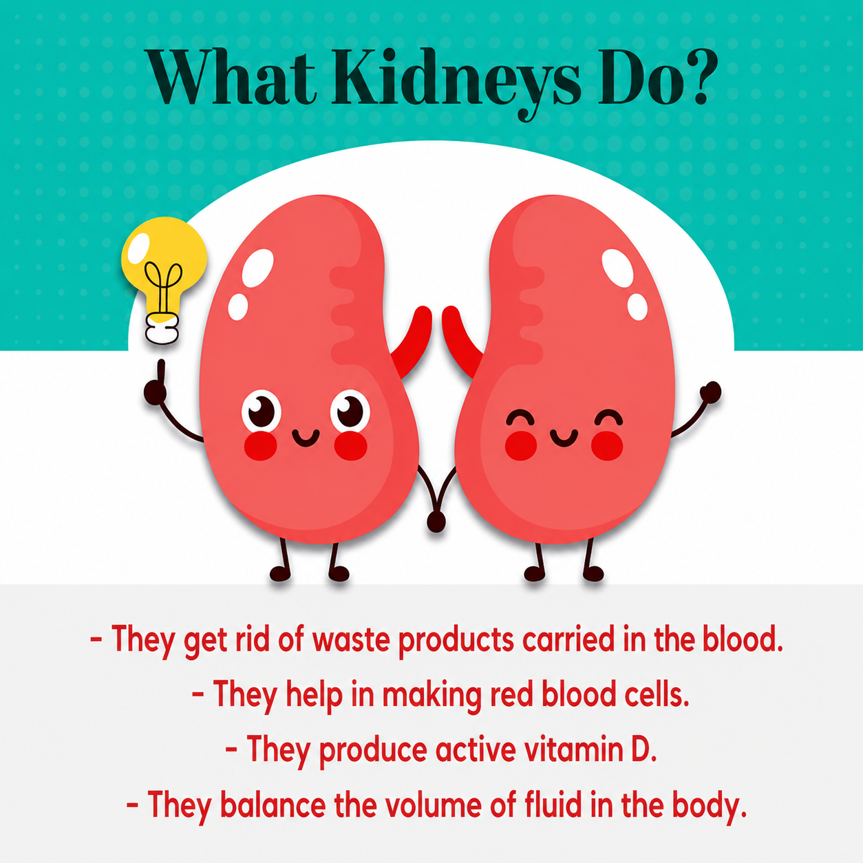 What kidneys do — educational graphic